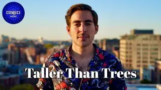Taller Than Trees - Tattoo | CONSCI MUSIC PRODUCTION