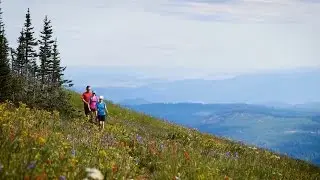 Hike Alpine Blossoms | North Thompson Valley