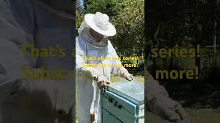 The Fastest Way to Rebuild an Insulated Hive Setup 😮🧩 | Beekeeping