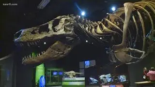 Science Museum offers a new exhibits and events