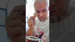 #9чай #рецепты  #мате #mate #yerba #yerbamate #йерба #чай