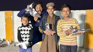 Aaj bachy kabutar lay kar agye or new kabutaron ko open kar diya 😱😳