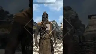 Top 5 Skyrim Guard Quotes