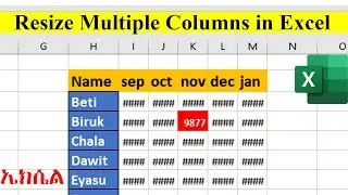 How to Resize Multiple Columns in Excel (3easy Ways) | ኤክሴል