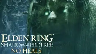 Elden Ring DLC No Heals is Easy