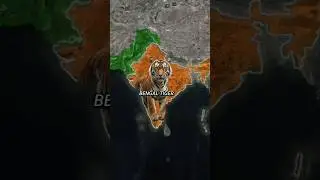 Pakistan neighbouring countries national animals #shorts #pakistan