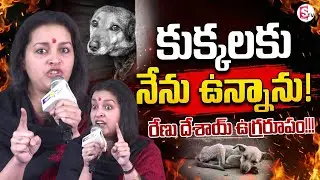 Renu Desai Sensational Press Meet on Stray Dogs | Telugu News | SumanTV Vijayawada