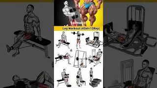 Best Leg Exercise 🔥. #fitness #gym #explore #legday #lego #shorts #short #subscribe #home #chest