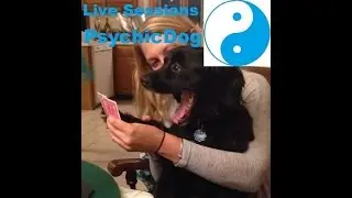 Poker | Live Sessions SSNL | Hand Replay Analysis [Post Audio]