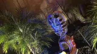 Buzz Rhino Maui