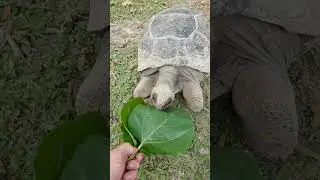 Exotic Animal Encounters