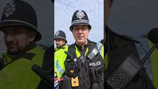 Meet the welcome brigade