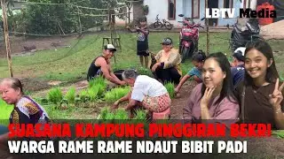 Potret Perkampungan Pinggiran Bekri Lampung Tengah di Sore Hari Usai Hujan