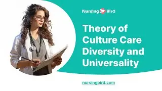Theory of Culture Care Diversity and Universality - Essay Example