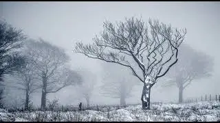 My Winter Turton Extended