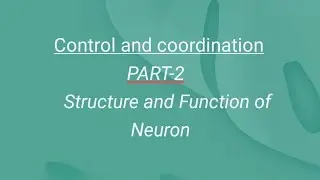 Structure and Function of Neuron & Neuromuscular Junction | Control and Coordination | Class X
