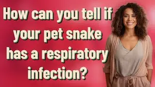 How can you tell if your pet snake has a respiratory infection?