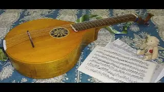 Andante by Haydn, played  by Taro Takeuchi (Regency lute/ Gut strung cittern)ハイドンのアンダンテ（リージェンシーリュート）