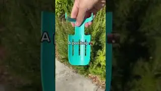 Keep your pup healthy and hydrated with this pup bottle #dog #doglover #dogshorts #dogsoftiktok