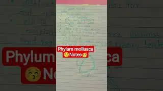 phylum mollusca 🥳🥳🥳🥳🥳🥳🥳🥳🥳🥳🥳 notes 😚😚😚😚😚😚😚😚