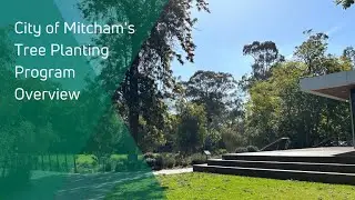 How the Mitcham Council manages its trees