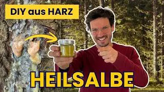 nutze die Kraft der heimischen Nadelb&auml;ume