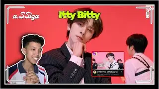 n.SSign (엔싸인) - Itty Bitty | Suit Dance | Performance || REACTION 