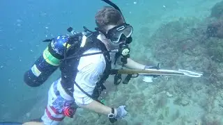 Подводная охота | Снэпперы | Овцеголовы | Рыба-кабан