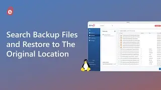 How to Search Backup Files and Restore to The Original Location | IDrive Online Restore