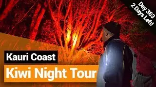 🔦 Kiwi Night Walk in the Trounson Kauri Park &ndash; New Zealand's Biggest Gap Year