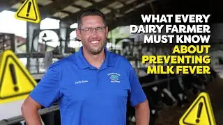 Transition Cow Tools: What Works for Hypocalcemia - Dr. Corwin Nelson