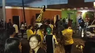 El acebuche 2020