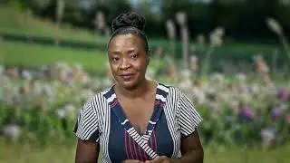 Agricultural Science Grade 9, Cash Crop - Sunflower