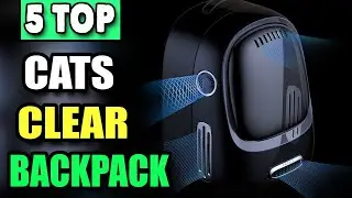 Best Clear Backpack for Cats