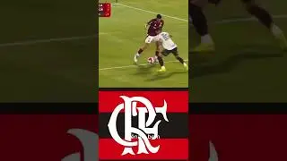 Villani opinou e o juiz ignorou um p&ecirc;nalti CLARO? #futebol #flamengo