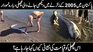 Why Deep Sea Creatures Act Weird? | Oarfish Spotted Again | Is World's End Near ?
