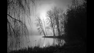 Stourhead walk. Leica Q3 Monochrom