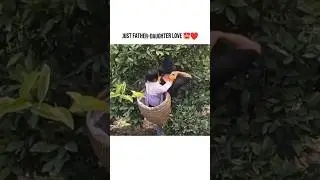 Just Father&ndash;Daughter Love 😍&hearts; #love #shorts #viral