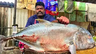 KASIMEDU 🔥 SPEED SELVAM | BIGG TREVALLY FISH CUTTING VIDEO | FF CUTTING 🔪