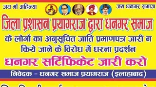 Dhangar samaj prayagraj | Shephard dhamu pal | vivek pal tiger | #prayagraj #dhangarsamaj #palsamaj
