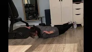 Prone W to Y Exercise