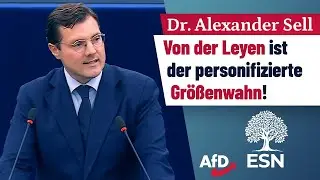 Von der Leyen ist der personifizierte Gr&ouml;&szlig;enwahn! &ndash; Dr. Alexander Sell (AfD)