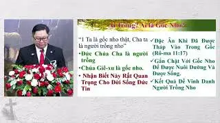 GÓC NHO VÀ NHÁNH | Mục Sư Nguyễn Đức Vĩnh An