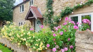 【Explore English Private Gardens】 Harmston Open Gardens 2025  【英国私家花园探秘】2025年哈姆斯顿村私人花园开放日