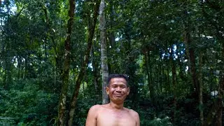 Jhon's Story: The Last Wild Orangutans of Sumatra