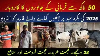 50 lac me Qurbani ka business II 2025 me Qurbani ka business II Interview of farmer 2025