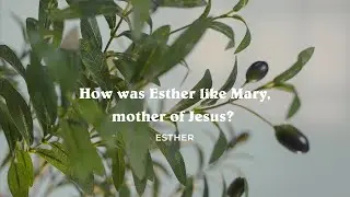 Чем Эсфирь была похожа на Марию, мать Иисуса?