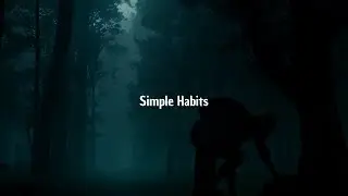 Simple Habits for a More Productive Life - MVP Motivation 
