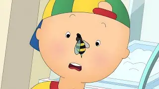 Caillou et l'Abeille | Les Nouvelles Aventures de Caillou