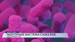 Drug-resistant &lsquo;nightmare bacteria&rsquo; cases on the rise: CDC